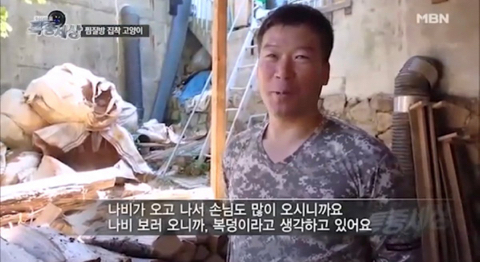 2016년 동물농장 출연했던 찜질방 고양이 나비 근황...JPG | 인스티즈