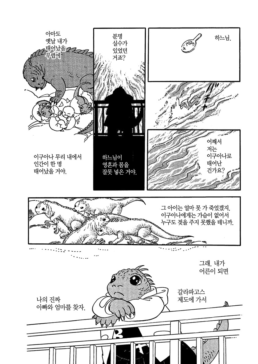 내 딸이 이구아나로 보여요 | 인스티즈