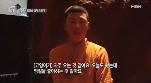 2016년 동물농장 출연했던 찜질방 고양이 나비 근황...JPG | 인스티즈