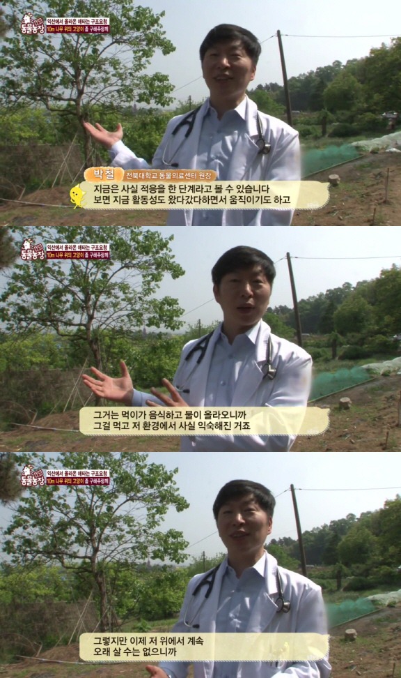 [동물농장] 10m 나무 위에 사는 고양이와 할머니들.jpg | 인스티즈