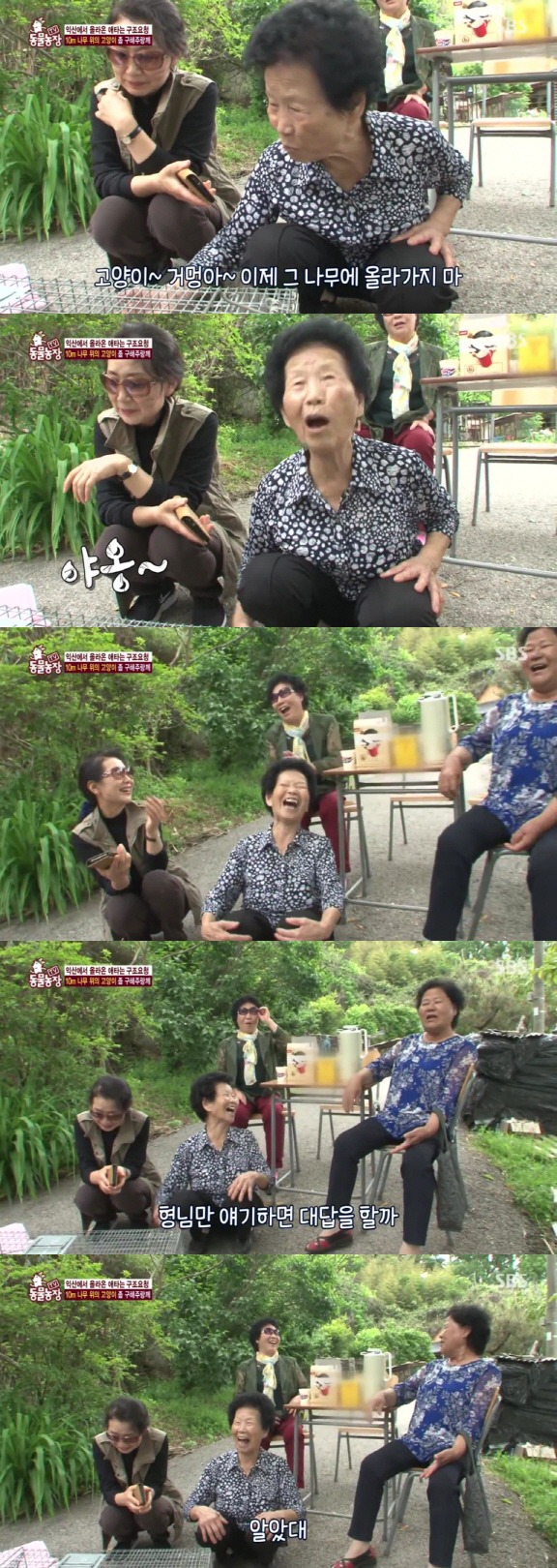 [동물농장] 10m 나무 위에 사는 고양이와 할머니들.jpg | 인스티즈