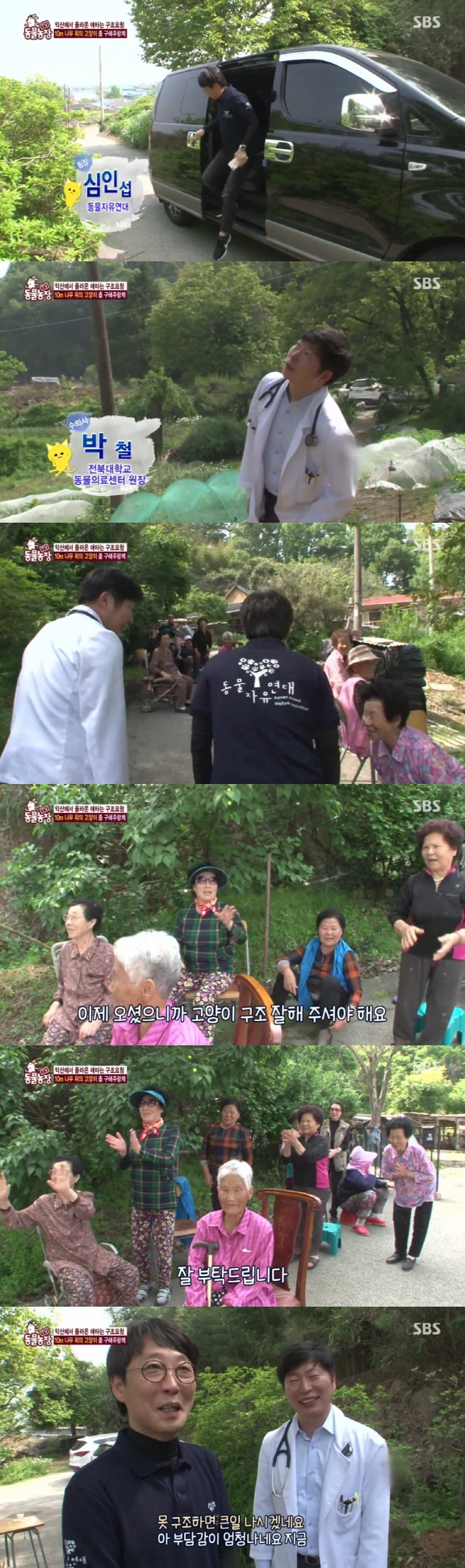 [동물농장] 10m 나무 위에 사는 고양이와 할머니들.jpg | 인스티즈