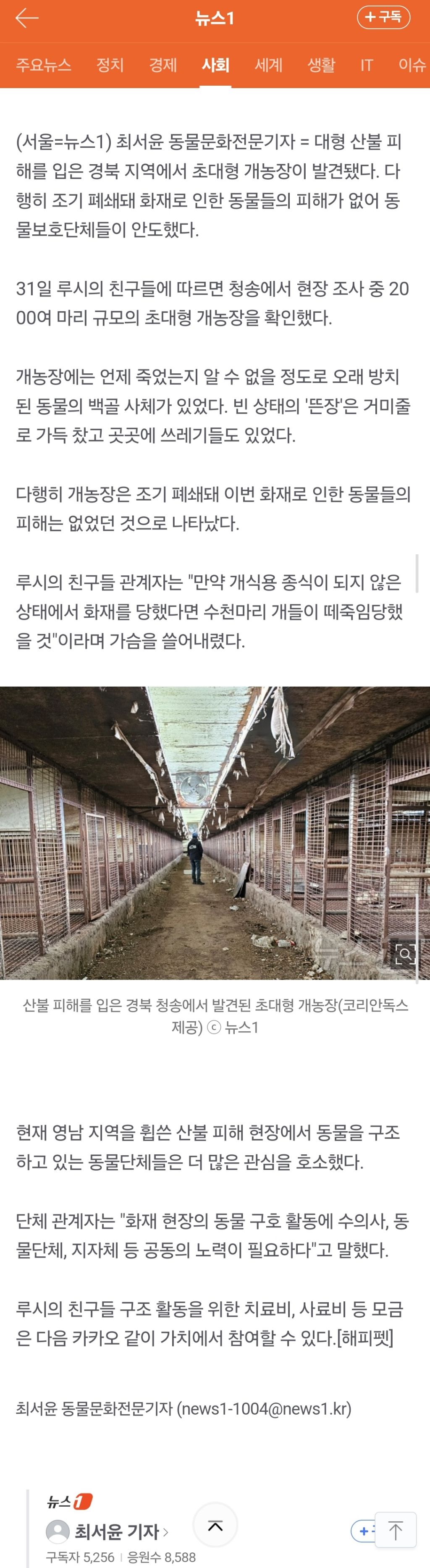 개농장서 발견된 백골 사체…산불로 2000여마리 몰살당할 뻔했다 | 인스티즈