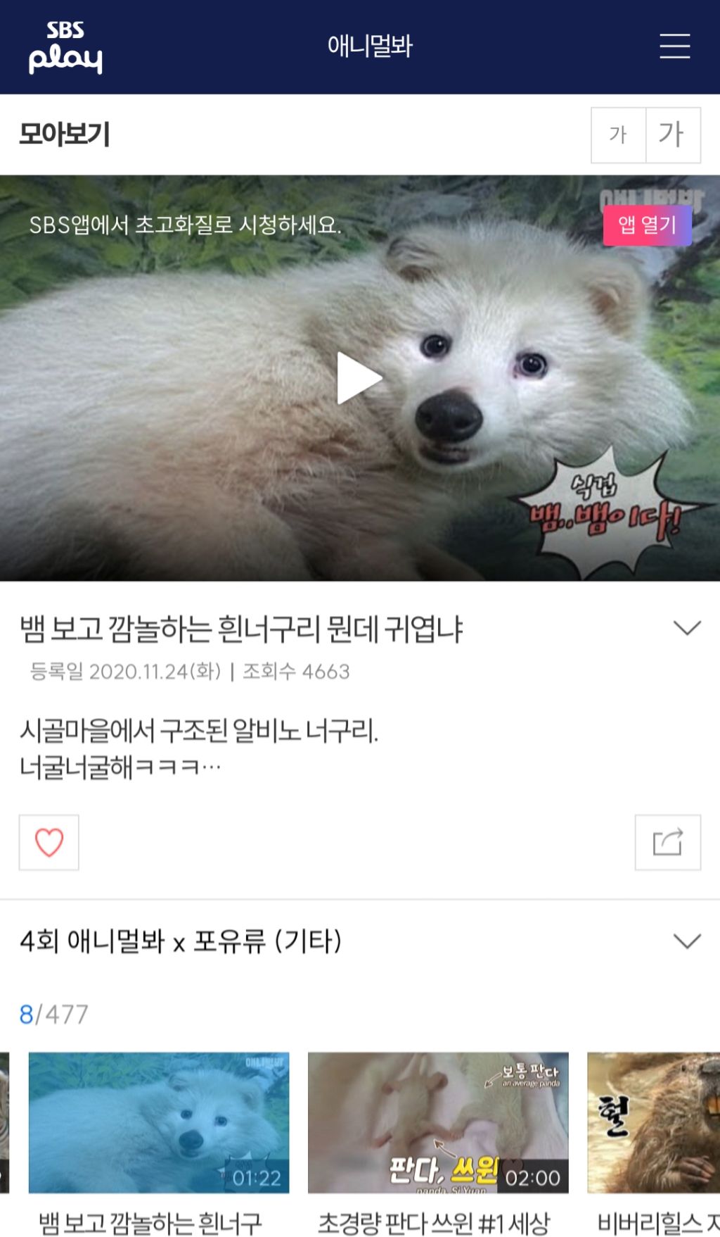 시골 할아버지가 산에서 주워온 강아지 | 인스티즈