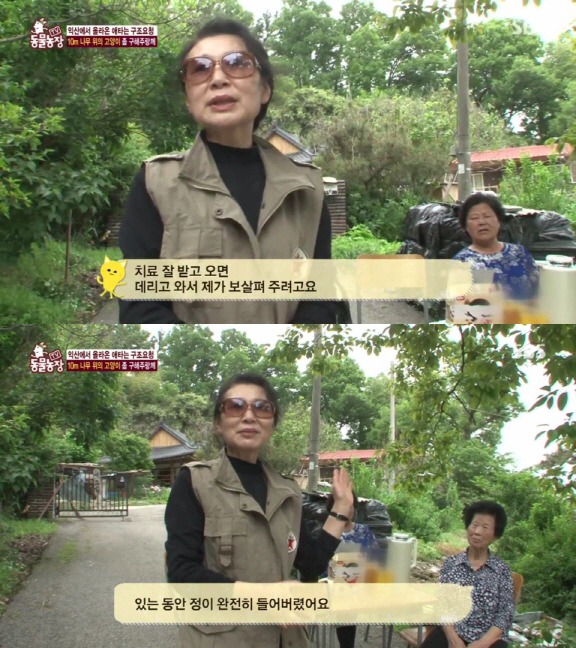 [동물농장] 10m 나무 위에 사는 고양이와 할머니들.jpg | 인스티즈