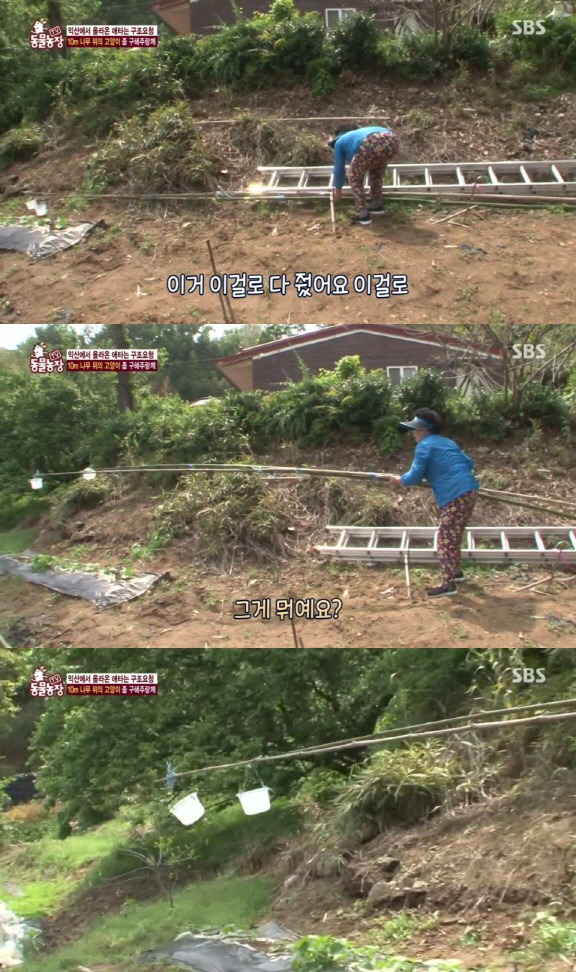 [동물농장] 10m 나무 위에 사는 고양이와 할머니들.jpg | 인스티즈