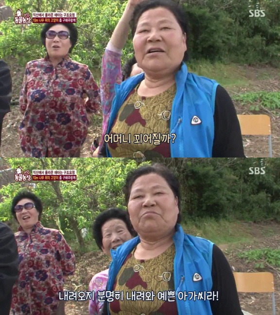 [동물농장] 10m 나무 위에 사는 고양이와 할머니들.jpg | 인스티즈
