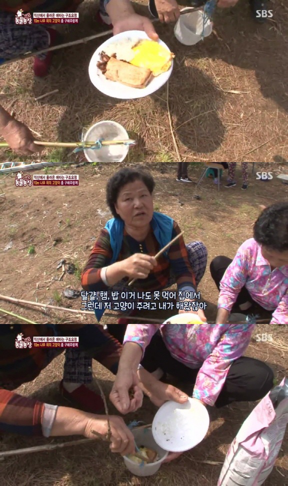 [동물농장] 10m 나무 위에 사는 고양이와 할머니들.jpg | 인스티즈