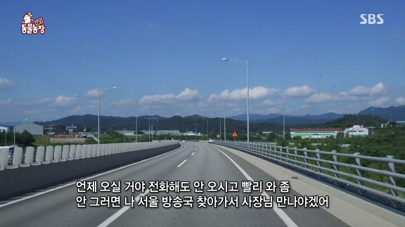 [동물농장] 10m 나무 위에 사는 고양이와 할머니들.jpg | 인스티즈