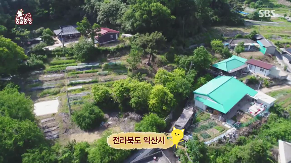 [동물농장] 10m 나무 위에 사는 고양이와 할머니들.jpg | 인스티즈