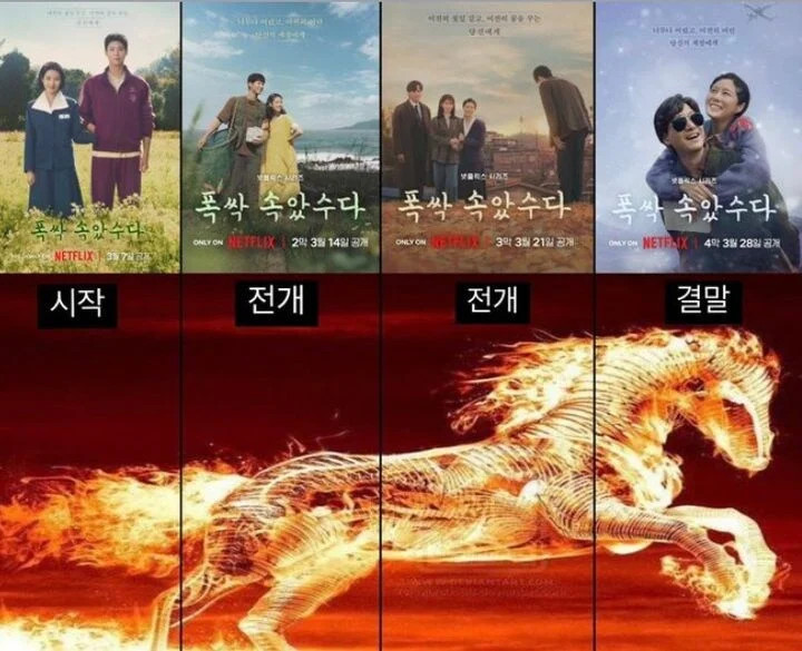 브라질 현지에서 '폭싹 속았수다'의 인기 | 인스티즈