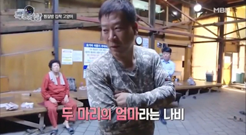2016년 동물농장 출연했던 찜질방 고양이 나비 근황...JPG | 인스티즈