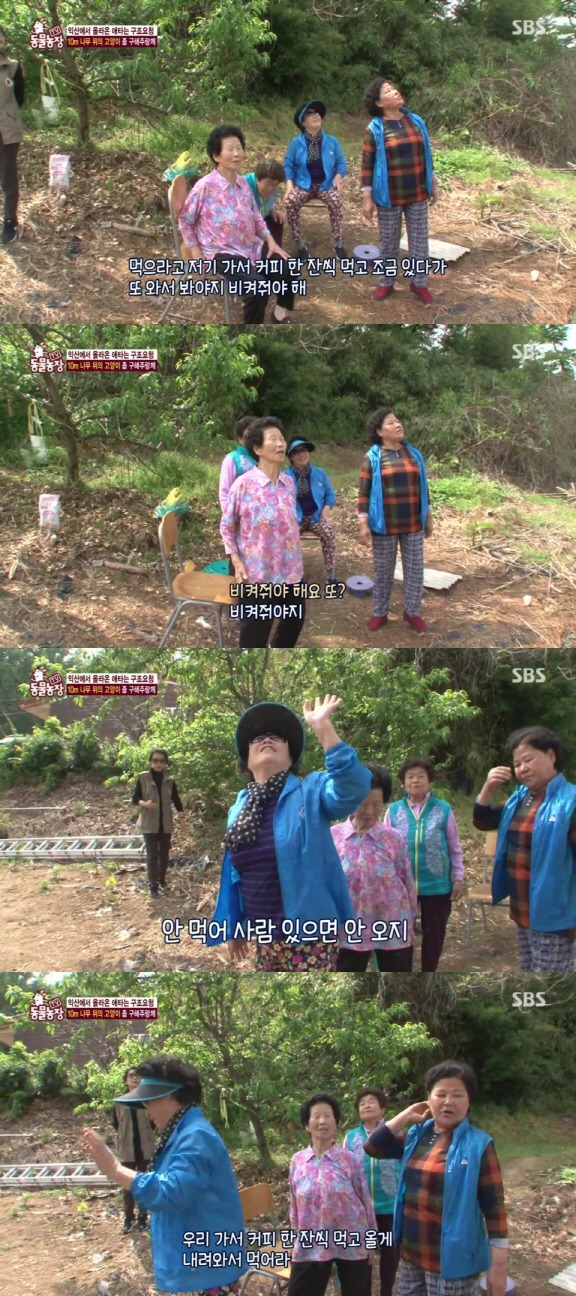 [동물농장] 10m 나무 위에 사는 고양이와 할머니들.jpg | 인스티즈