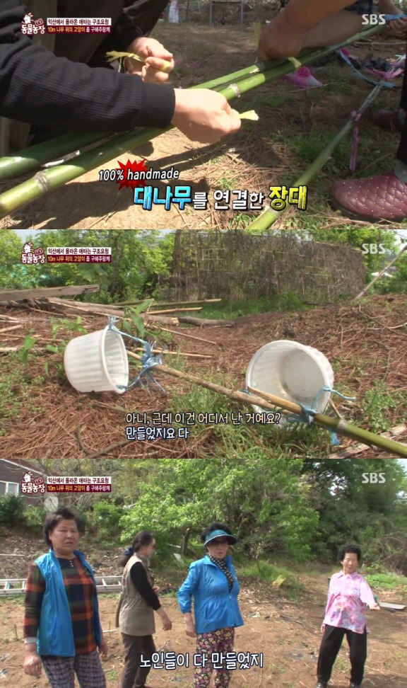 [동물농장] 10m 나무 위에 사는 고양이와 할머니들.jpg | 인스티즈