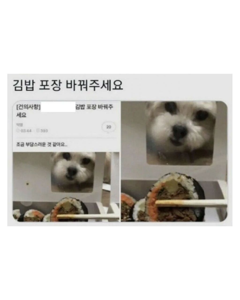포장 용기 좀 바꿔주세요 | 인스티즈