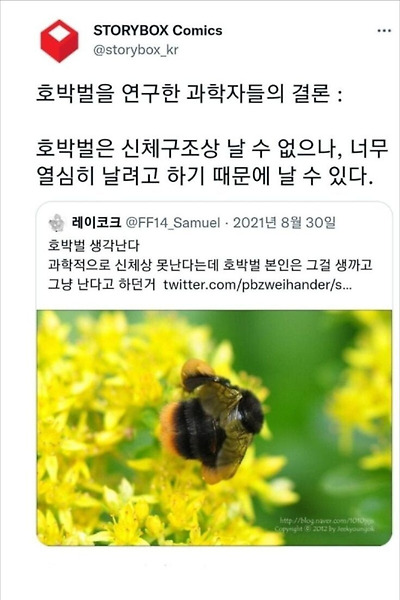  호박벌과 해파리가 살아가는 방식