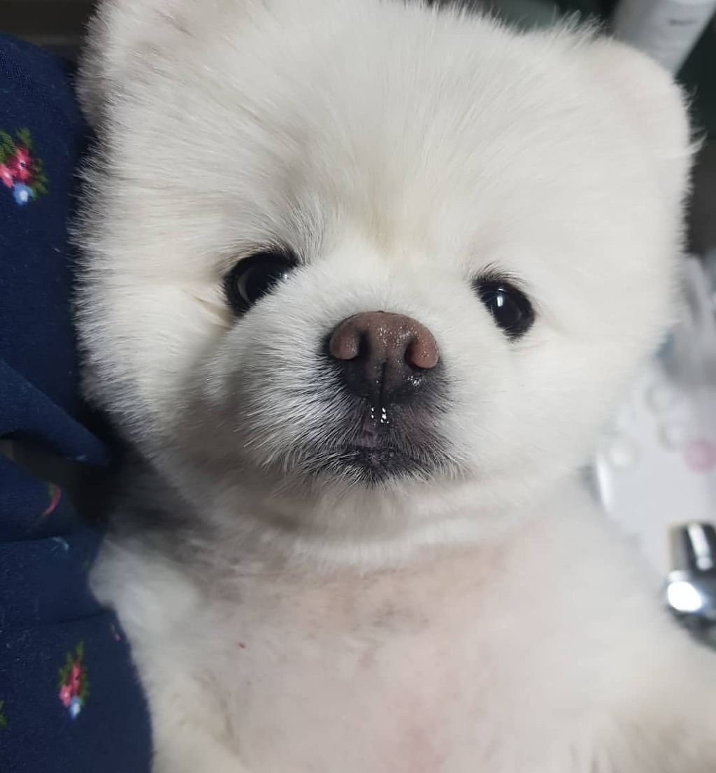 아들사진을 절대 가게에 걸지 않겠다는 고경표 부모님 | 인스티즈