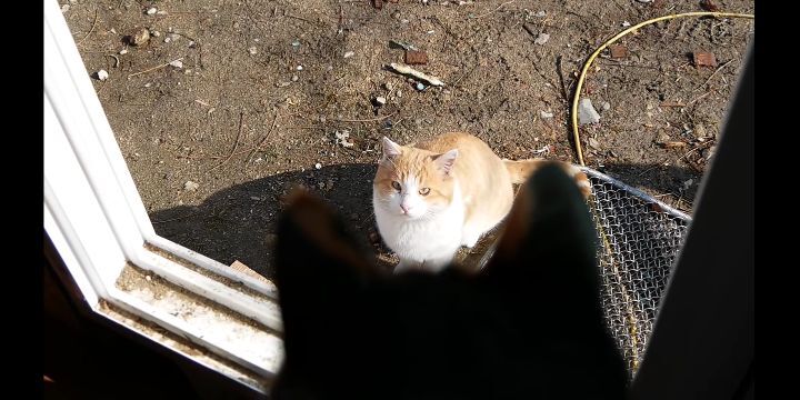 오늘자 얼굴만 둥둥 떠다니는 것 같은 뚱땅이...jpgif | 인스티즈
