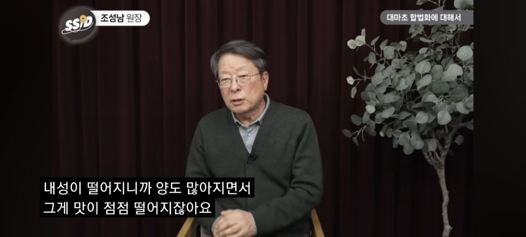 대마초 진실 | 인스티즈