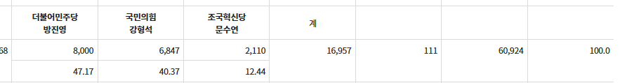  대전 시의원 민주당 방진영 당선