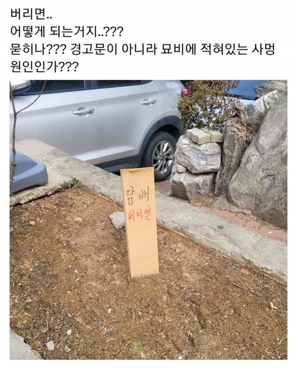 담배 버리면 어떻게 되는거지? | 인스티즈
