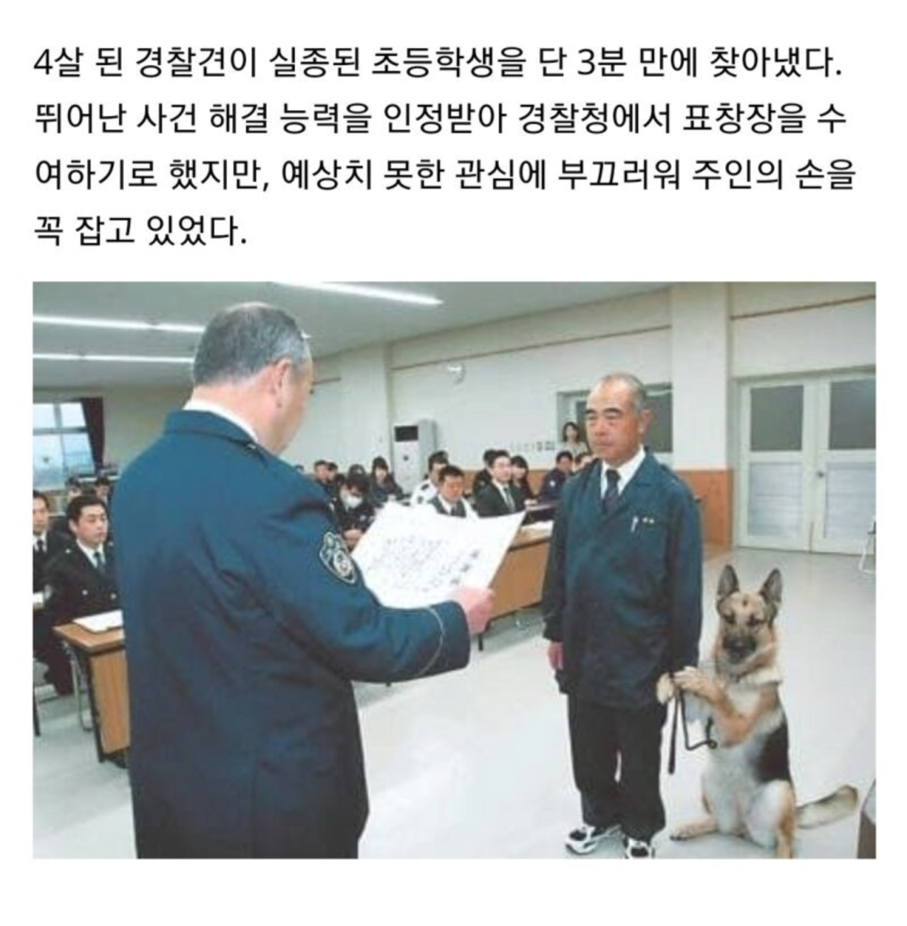  지나친 관심에 낯가리는 경찰견
