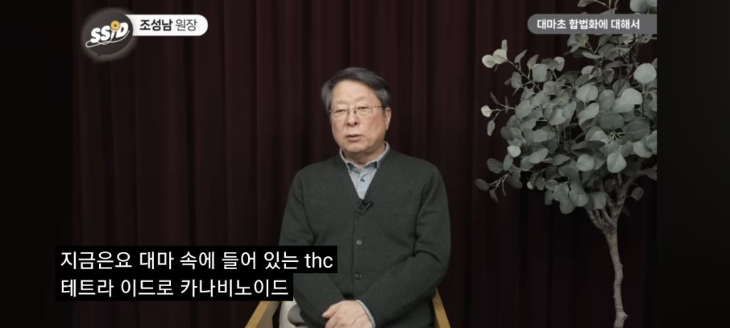 대마초 진실 | 인스티즈