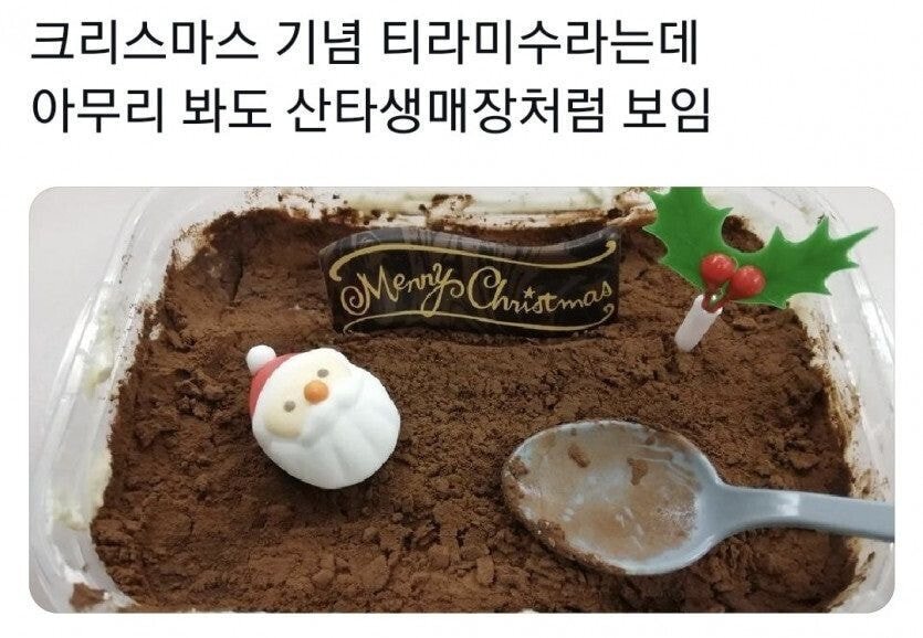 크리스마스 기념 티라미수라는데 | 인스티즈