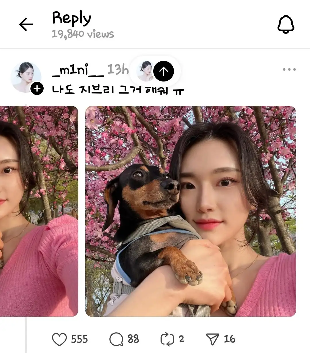  지브리 그거 해 줘ㅠㅠ