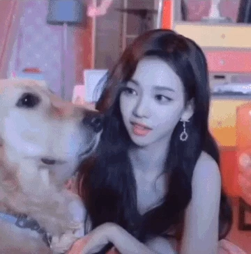 지나친 관심에 낯가리는 경찰견 | 인스티즈