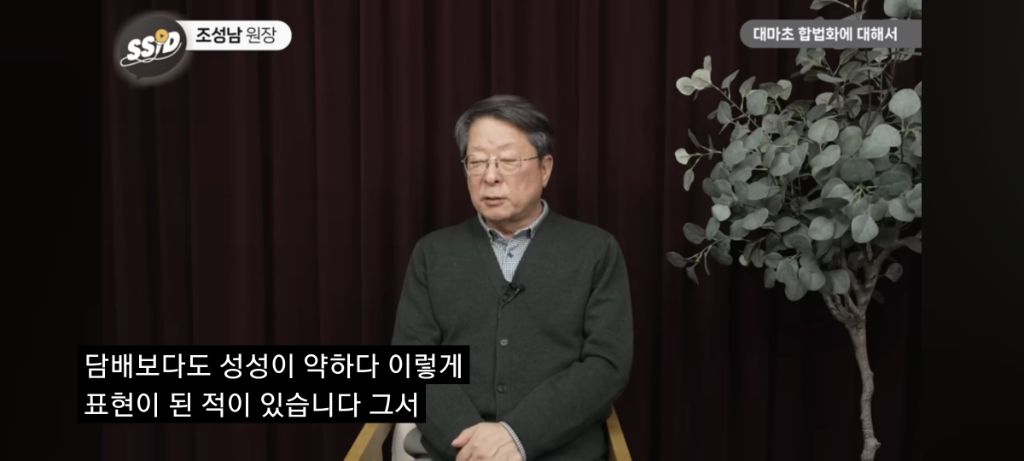 대마초 진실 | 인스티즈