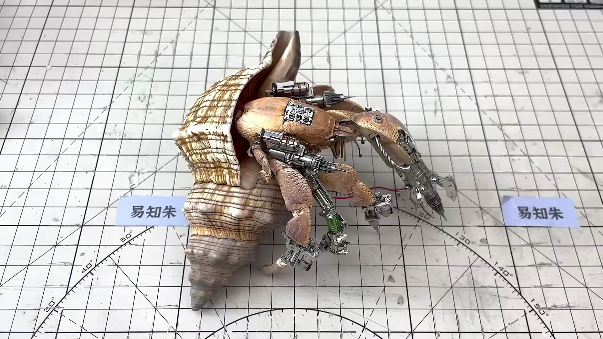 랍스터, 게요리 먹고 만든 초고퀄 로보트 | 인스티즈