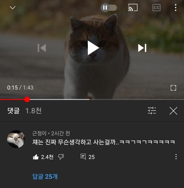 오늘자 얼굴만 둥둥 떠다니는 것 같은 뚱땅이...jpgif | 인스티즈