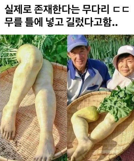 진짜 무다리.jpg | 인스티즈
