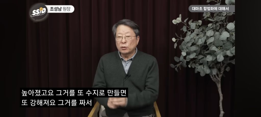 대마초 진실 | 인스티즈