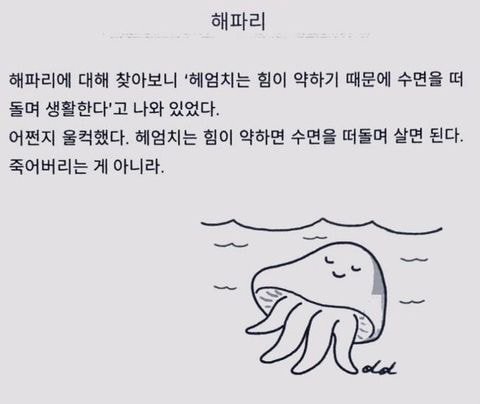 호박벌과 해파리가 살아가는 방식 | 인스티즈
