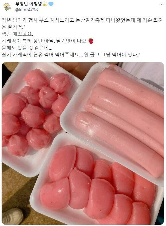 논산 딸기축제 근황 | 인스티즈
