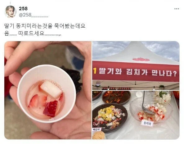  논산 딸기축제 근황