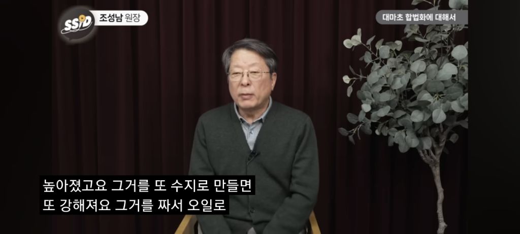 대마초 진실 | 인스티즈