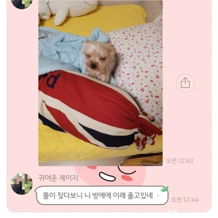 외박한 날 엄마 카톡 | 인스티즈