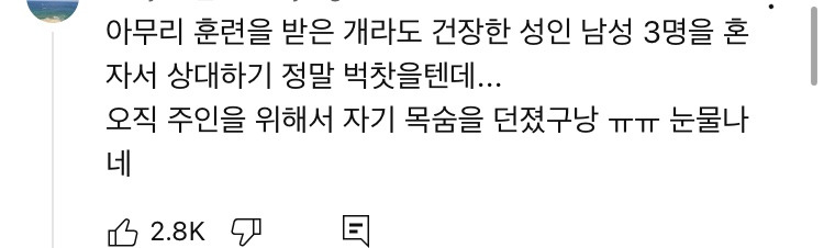 죽기 직전 특수버튼 눌러서 살아난 경찰 | 인스티즈