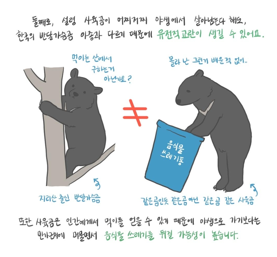 곰 보금자리 프로젝트 project moon bear | 인스티즈