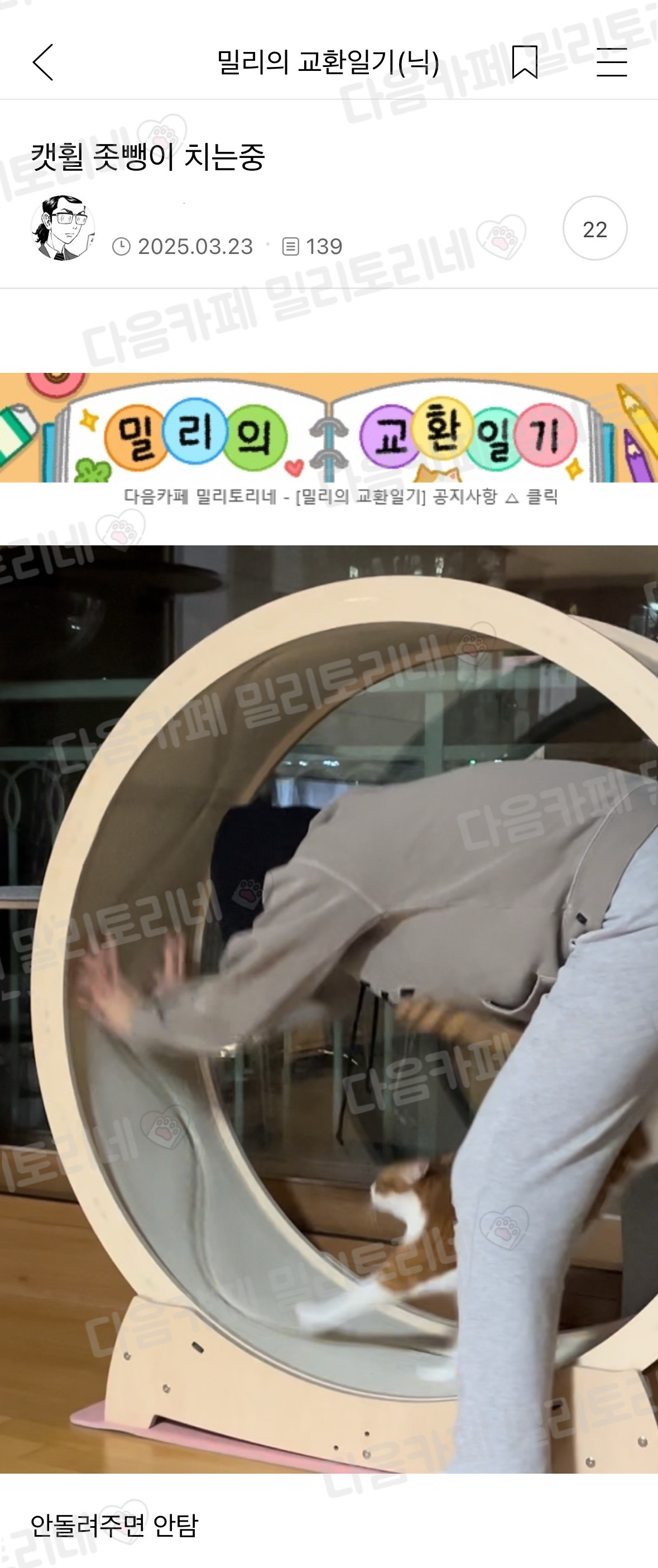 캣휠 뺑이 치는 중 | 인스티즈