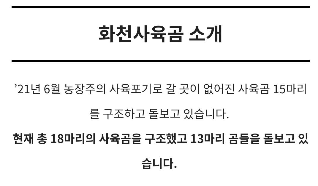 곰 보금자리 프로젝트 project moon bear | 인스티즈