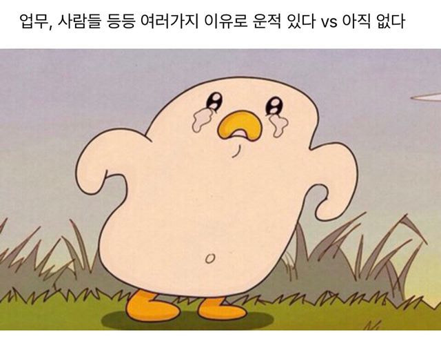 직장인들 회사에서 운적 있다 vs 없다 | 인스티즈