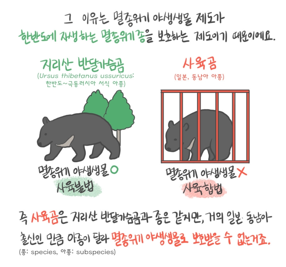 곰 보금자리 프로젝트 project moon bear | 인스티즈