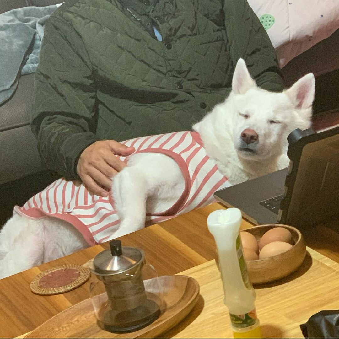 꿈이 뭐냐는 질문에 배우 구교환의 예상치못한 대답.twt | 인스티즈