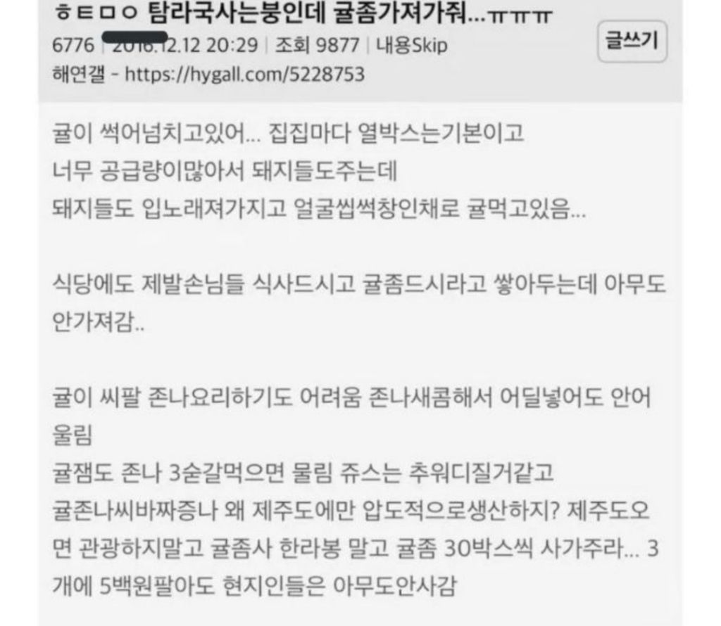 제주도민에게 귤이란? | 인스티즈