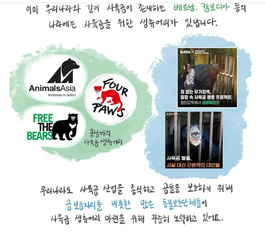 곰 보금자리 프로젝트 project moon bear | 인스티즈