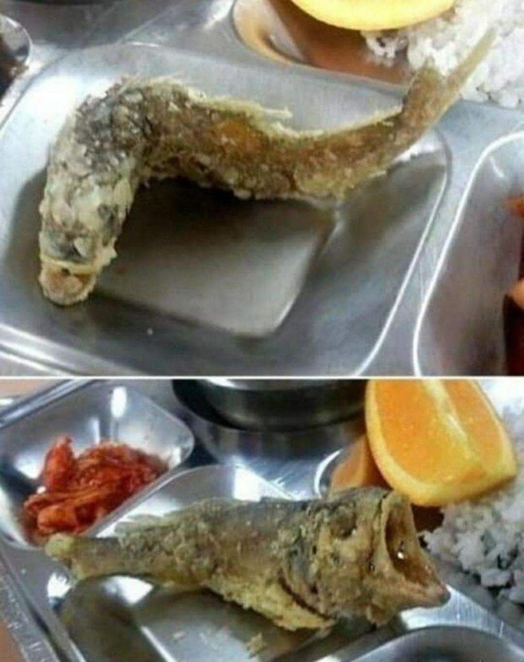  군대에서 먹을 수 있는 포켓몬.jpg